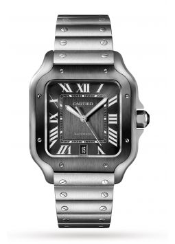 Cartier Santos de Cartier WSSA0037